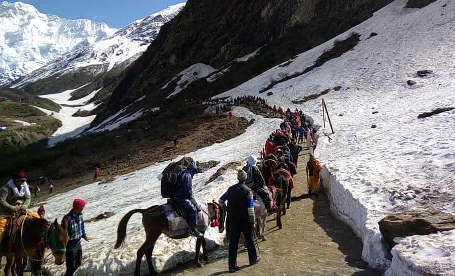 kedarnath poni trek